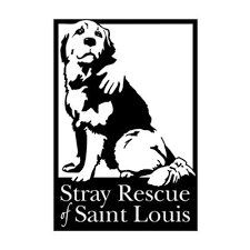 Make a Difference in an Animal’s Life This Giveback Tuesday!